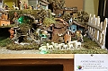 VBS_8378 - Presepe Chiesa di Martinetta Natale 2024